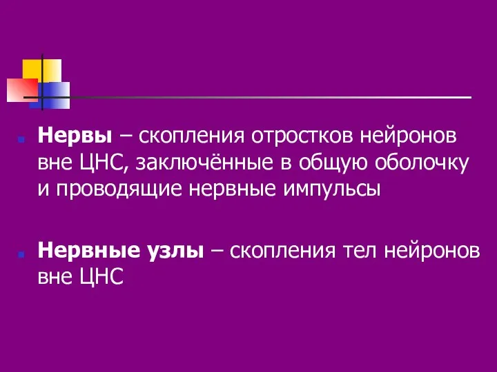 Нервы – скопления отростков нейронов вне ЦНС, заключённые в общую оболочку