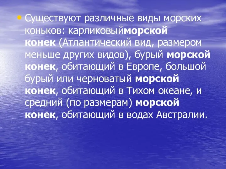 Существуют различные виды морских коньков: карликовыйморской конек (Атлантический вид, размером меньше