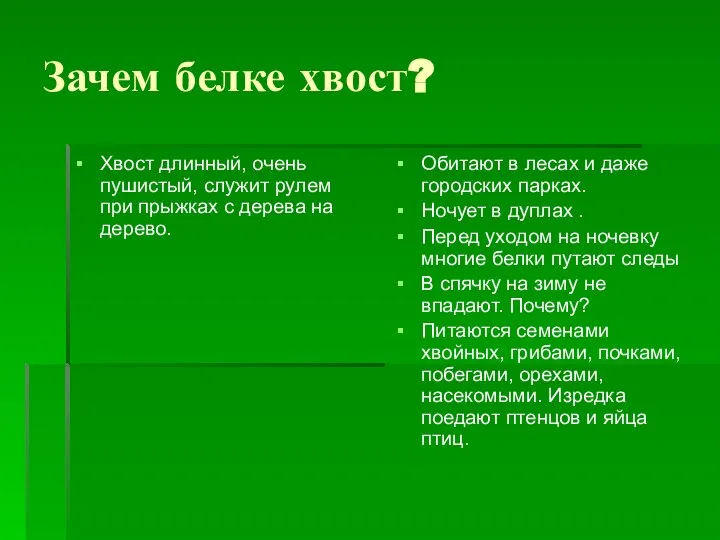 Зачем белке хвост? Хвост длинный, очень пушистый, служит рулем при прыжках