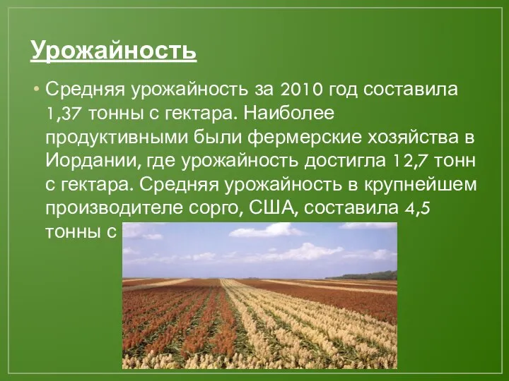 Урожайность Средняя урожайность за 2010 год составила 1,37 тонны с гектара.