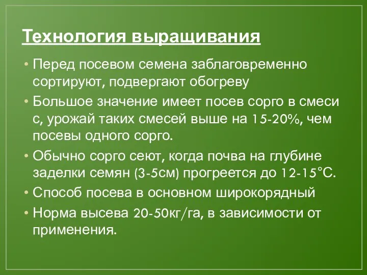 Технология выращивания Перед посевом семена заблаговременно сортируют, подвергают обогреву Большое значение