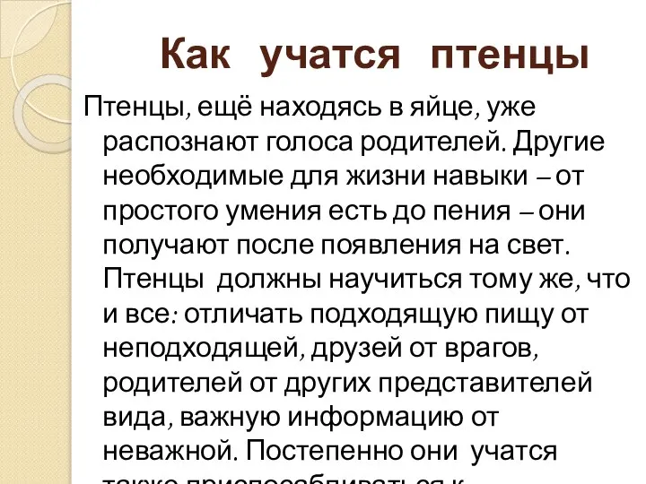 Как учатся птенцы Птенцы, ещё находясь в яйце, уже распознают голоса