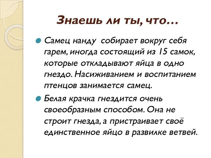 Знаешь ли ты, что… Самец нанду собирает вокруг себя гарем, иногда