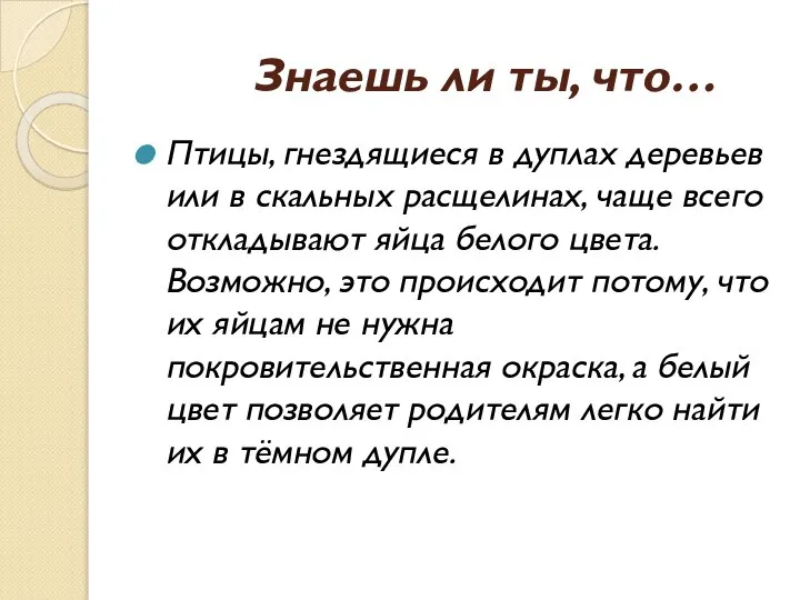 Знаешь ли ты, что… Птицы, гнездящиеся в дуплах деревьев или в