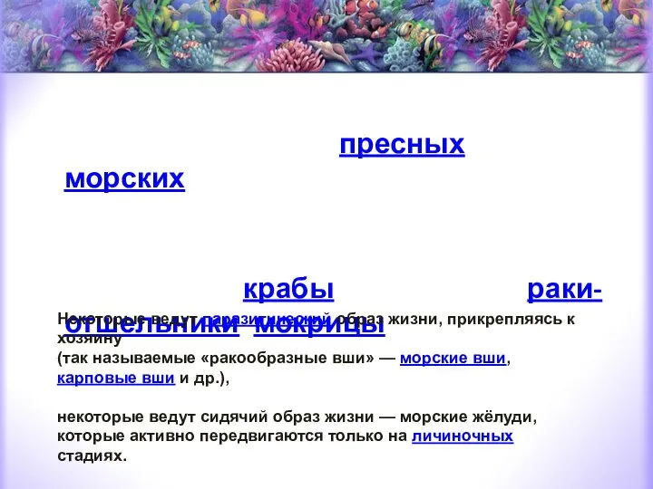 Это преимущественно водные обитатели пресных и морских водоёмов, хотя некоторые группы