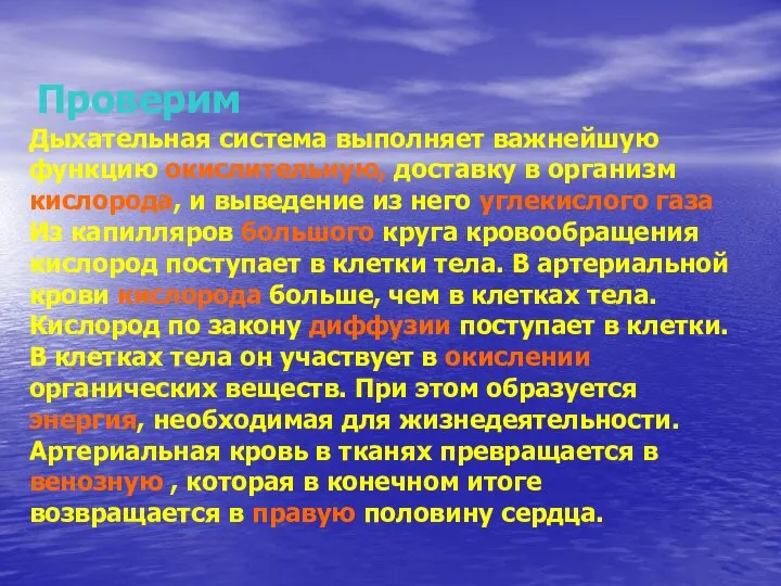 Проверим Дыхательная система выполняет важнейшую функцию окислительную, доставку в организм кислорода,