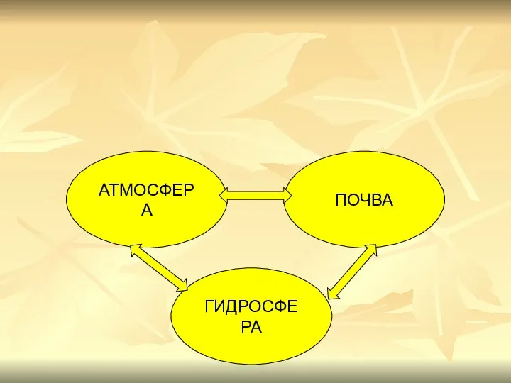 АТМОСФЕРА ПОЧВА ГИДРОСФЕРА