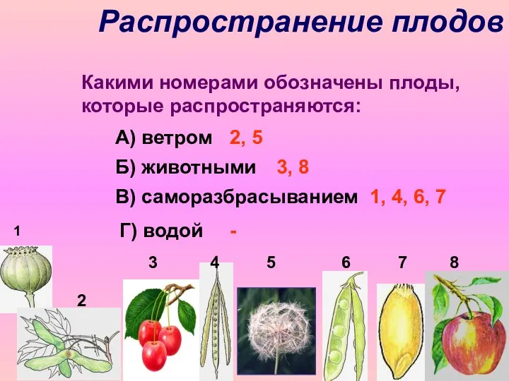 Распространение плодов 3 4 5 6 7 8 1 Какими номерами