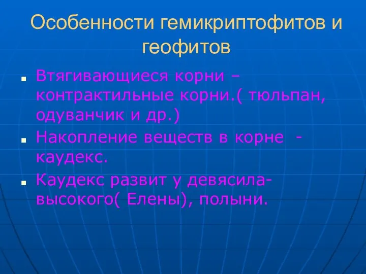 Особенности гемикриптофитов и геофитов Втягивающиеся корни – контрактильные корни.( тюльпан, одуванчик