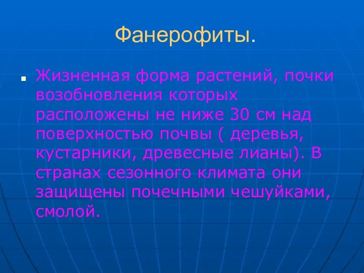 Фанерофиты. Жизненная форма растений, почки возобновления которых расположены не ниже 30