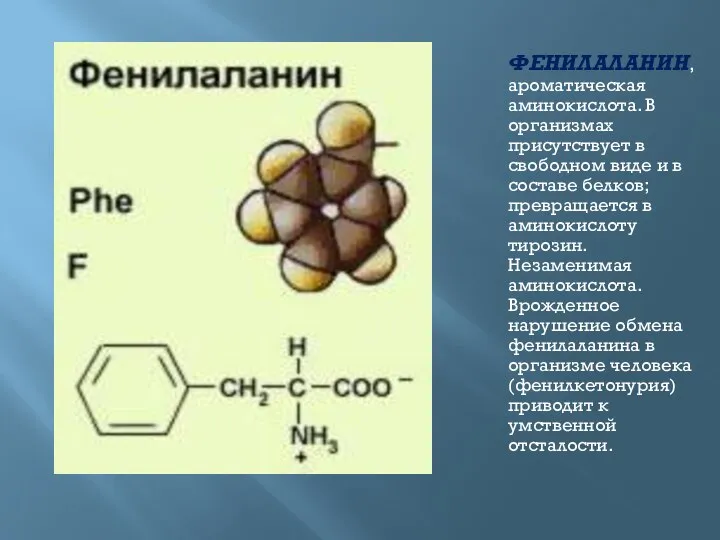 ФЕНИЛАЛАНИН, ароматическая аминокислота. В организмах присутствует в свободном виде и в