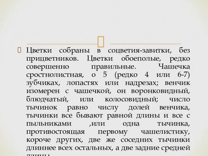 Цветки собраны в соцветия-завитки, без прицветников. Цветки обоеполые, редко совершенно правильные.