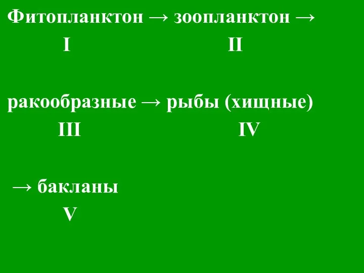 Фитопланктон → зоопланктон → I II ракообразные → рыбы (хищные) III IV → бакланы V