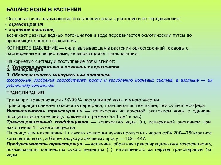 БАЛАНС ВОДЫ В РАСТЕНИИ Основные силы, вызывающие поступление воды в растение