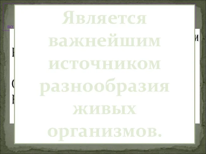 Комбинативная изменчивость- возникает вследствие рекомбинации генов во время слияния гамет. независимое