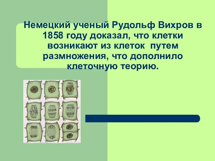 Немецкий ученый Рудольф Вихров в 1858 году доказал, что клетки возникают