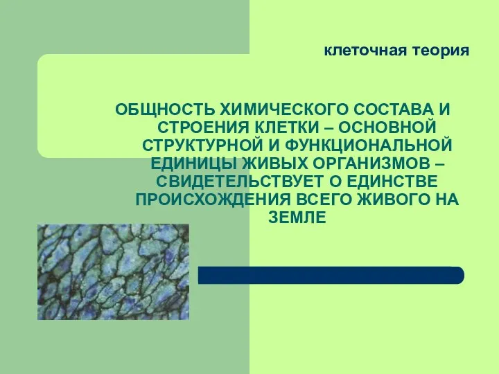 клеточная теория ОБЩНОСТЬ ХИМИЧЕСКОГО СОСТАВА И СТРОЕНИЯ КЛЕТКИ – ОСНОВНОЙ СТРУКТУРНОЙ