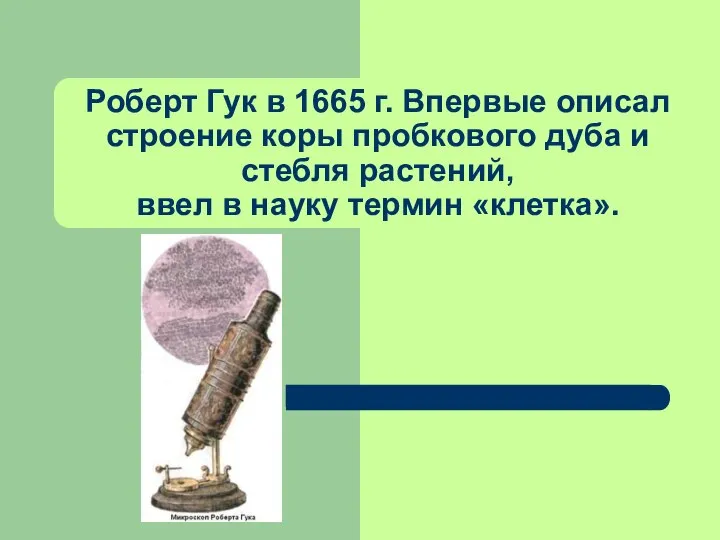 Роберт Гук в 1665 г. Впервые описал строение коры пробкового дуба