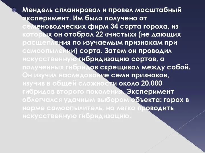 Мендель спланировал и провел масштабный эксперимент. Им было получено от семеноводческих