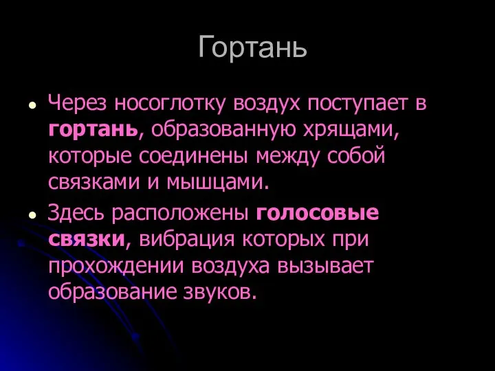 Гортань Через носоглотку воздух поступает в гортань, образованную хрящами, которые соединены