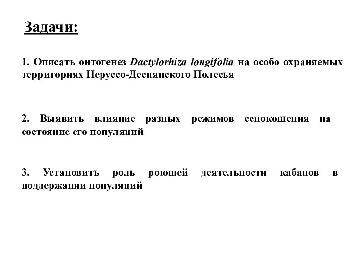 1. Описать онтогенез Dactylorhiza longifolia на особо охраняемых территориях Неруссо-Деснянского Полесья