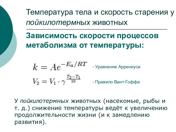 Температура тела и скорость старения у пойкилотермных животных Зависимость скорости процессов