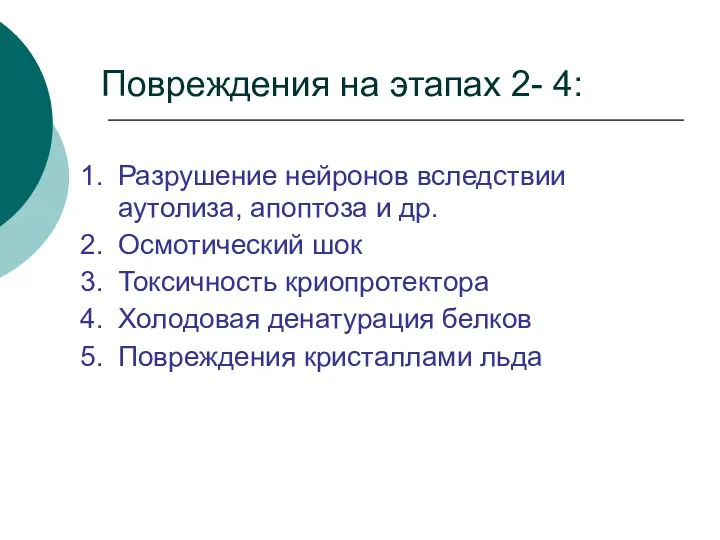 Повреждения на этапах 2- 4: Разрушение нейронов вследствии аутолиза, апоптоза и