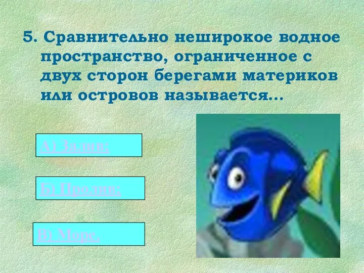 5. Сравнительно неширокое водное пространство, ограниченное с двух сторон берегами материков