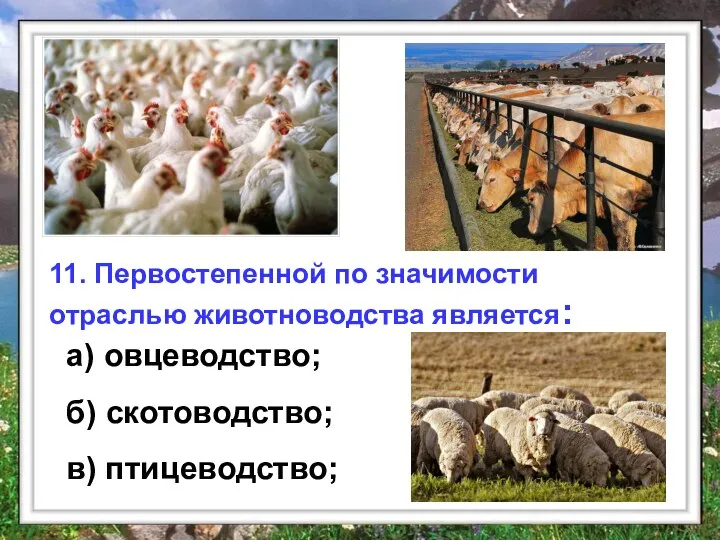 11. Первостепенной по значимости отраслью животноводства является: 11. Первостепенной по значимости