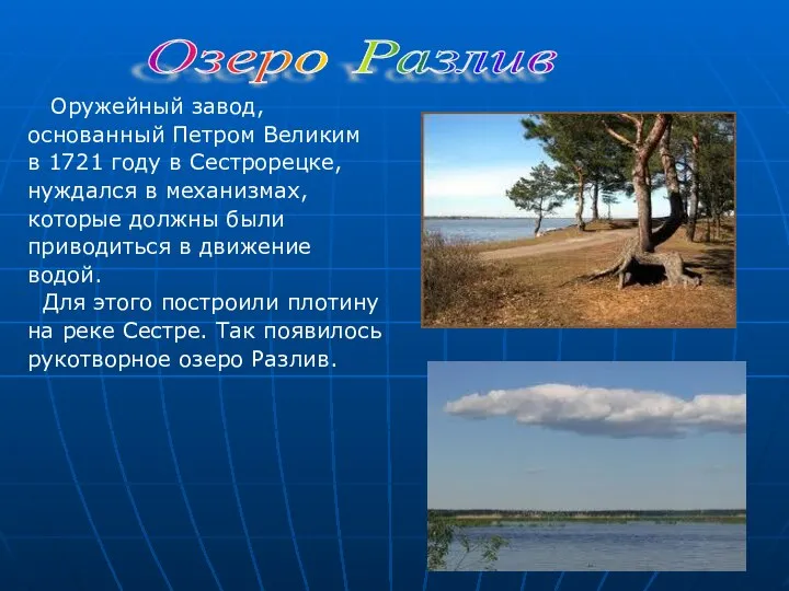 Оружейный завод, основанный Петром Великим в 1721 году в Сестрорецке, нуждался