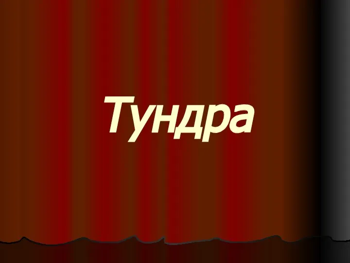 Тундра