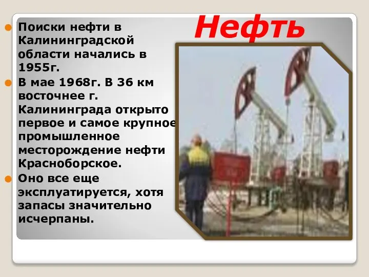 Нефть Поиски нефти в Калининградской области начались в 1955г. В мае