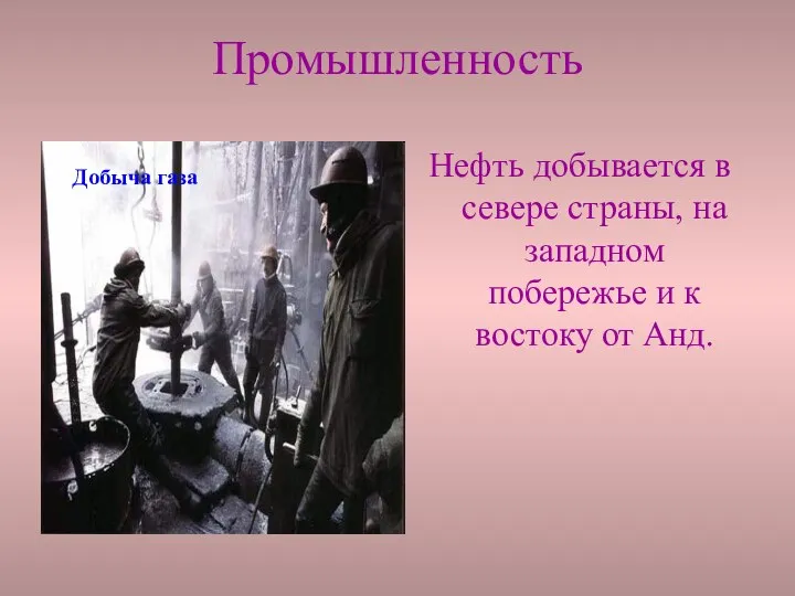 Промышленность Нефть добывается в севере страны, на западном побережье и к востоку от Анд. Добыча газа