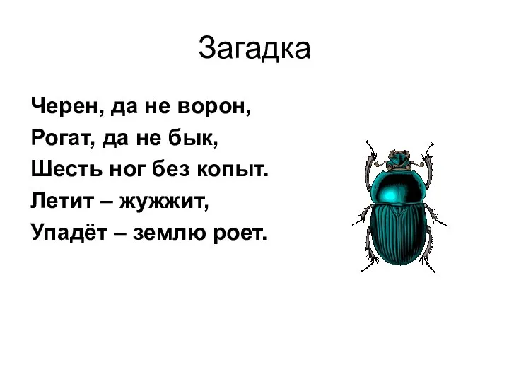 Загадка Черен, да не ворон, Рогат, да не бык, Шесть ног