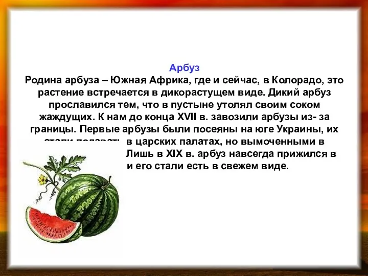 Арбуз Родина арбуза – Южная Африка, где и сейчас, в Колорадо,