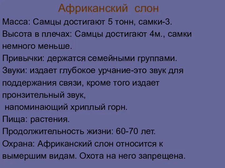 Африканский слон Масса: Самцы достигают 5 тонн, самки-3. Высота в плечах: