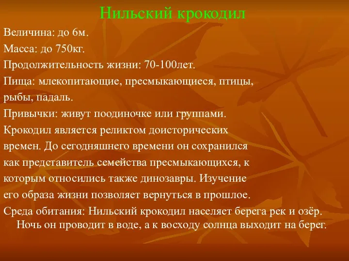 Нильский крокодил Величина: до 6м. Масса: до 750кг. Продолжительность жизни: 70-100лет.