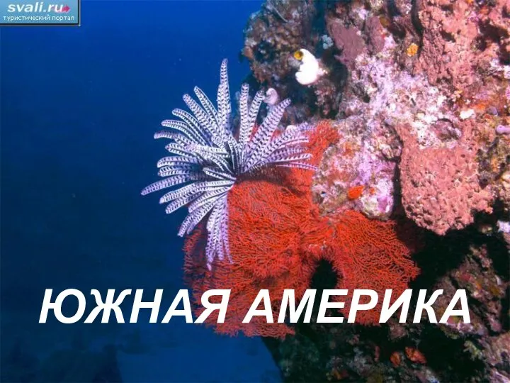 ЮЖНАЯ АМЕРИКА