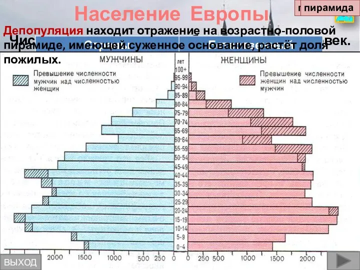 Население Европы Численность населения – более 520 млн.человек. Характерна сложная демографическая