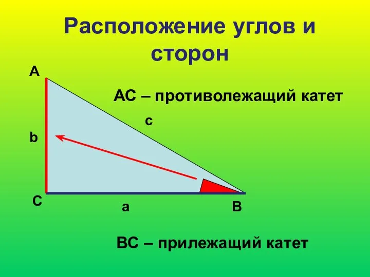 Расположение углов и сторон А С В b c a АС