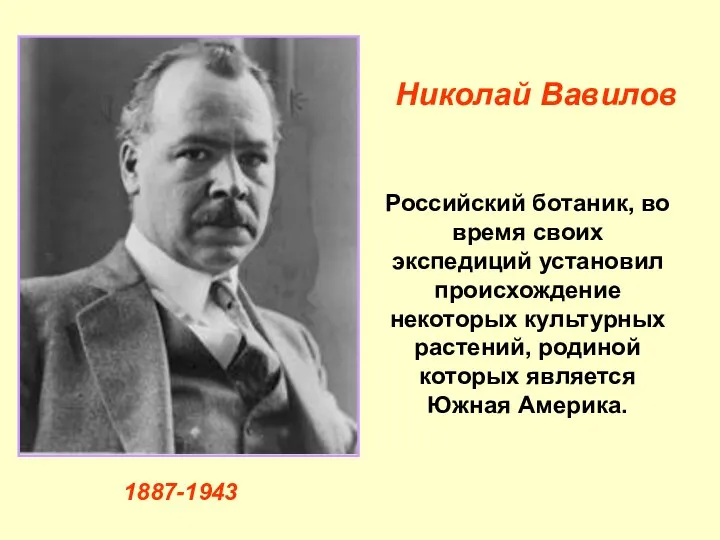 Российский ботаник, во время своих экспедиций установил происхождение некоторых культурных растений,