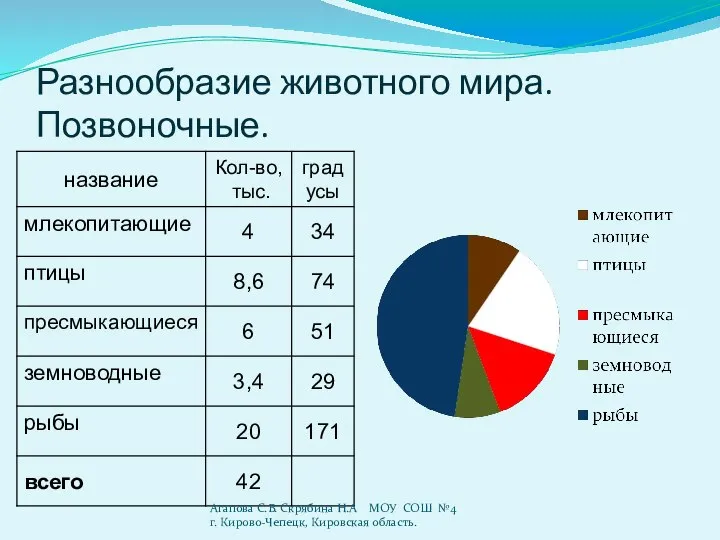 Разнообразие животного мира. Позвоночные. Агапова С.В. Скрябина Н.А МОУ СОШ №4 г. Кирово-Чепецк, Кировская область.