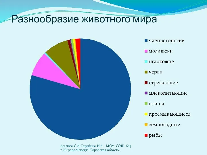 Разнообразие животного мира Агапова С.В. Скрябина Н.А МОУ СОШ №4 г. Кирово-Чепецк, Кировская область.