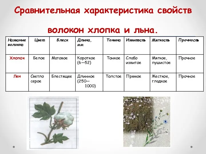 Сравнительная характеристика свойств волокон хлопка и льна.