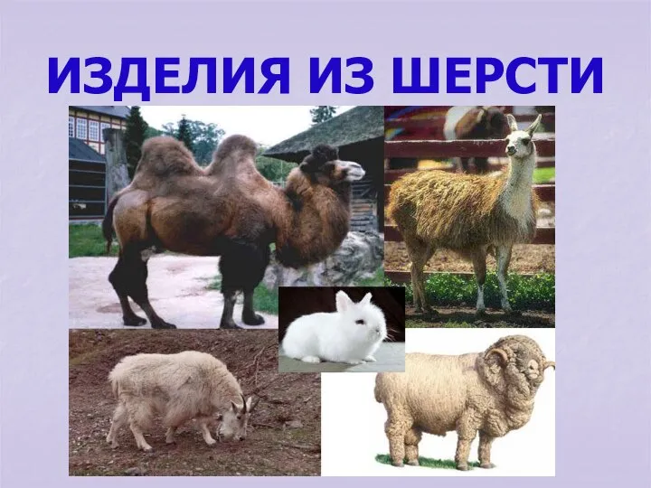 ИЗДЕЛИЯ ИЗ ШЕРСТИ