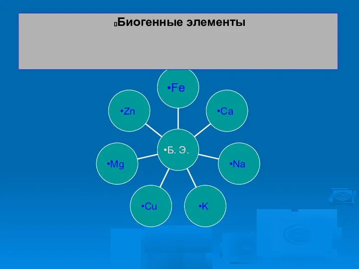 Zn Mg Cu K Na Ca Fe Б. Э. Биогенные элементы