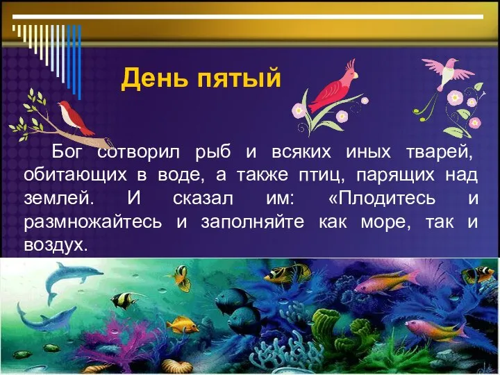 День пятый Бог сотворил рыб и всяких иных тварей, обитающих в