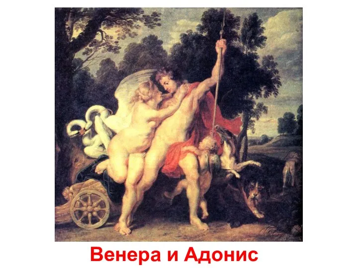 Венера и Адонис