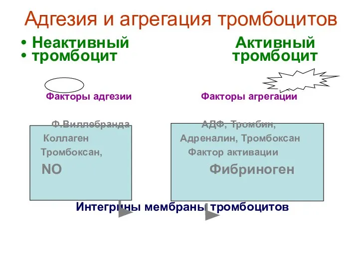 Адгезия и агрегация тромбоцитов Неактивный Активный тромбоцит тромбоцит Факторы адгезии Факторы