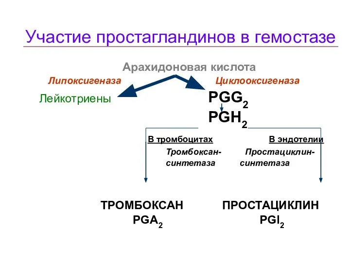 Участие простагландинов в гемостазе Арахидоновая кислота Липоксигеназа Циклооксигеназа Лейкотриены PGG2 PGH2